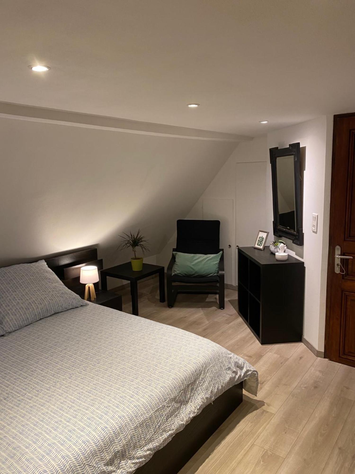 Апартаменти Le 128, Duplex Alsacien 10 Personnes, Piscine Horbourg Екстер'єр фото